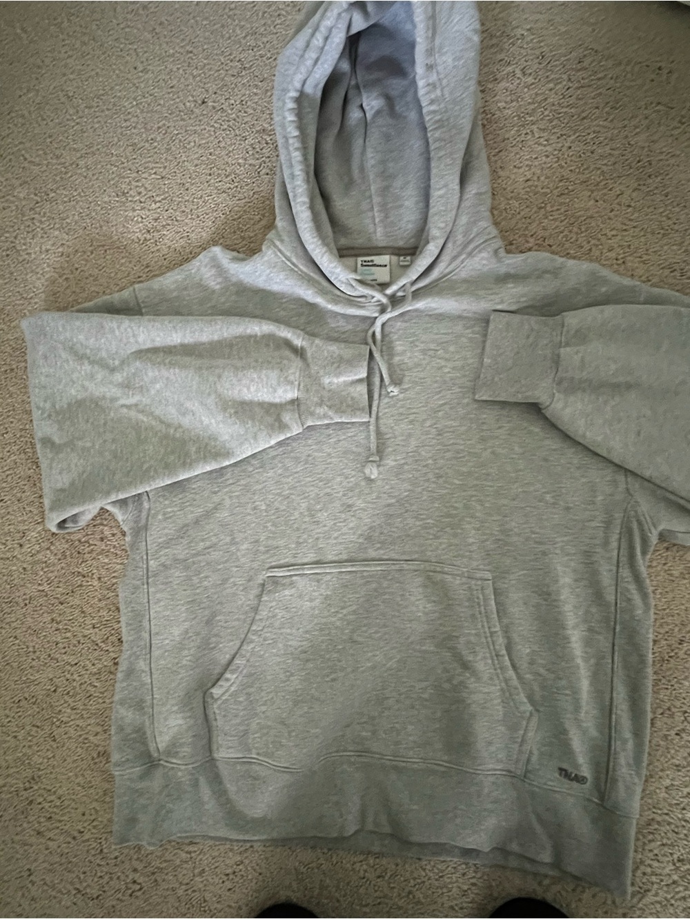 Aritzia/Tna Light Gray Pullover Hoodie